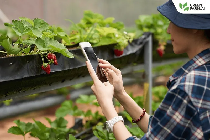 Smart Farm Community