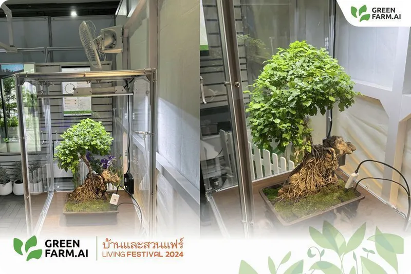 GreenFarm.AI เปิดตัวนวัตกรรมฟาร์มอัจฉริยะ พร้อมโปรโมชั่นสุดพิเศษ ในงาน "บ้านและสวนแฟร์ LIVING FESTIVAL 2024" ภาพที่ 2