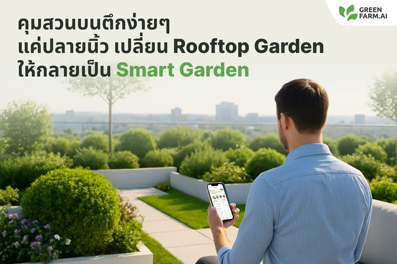 Manage Your Rooftop Garden at Your Fingertips: Turn Your Rooftop into a Smart Garden
