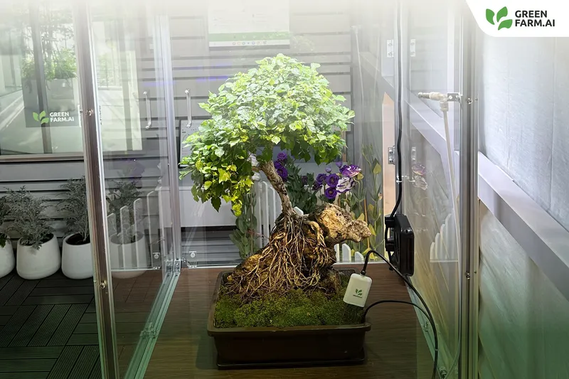Smart Farm